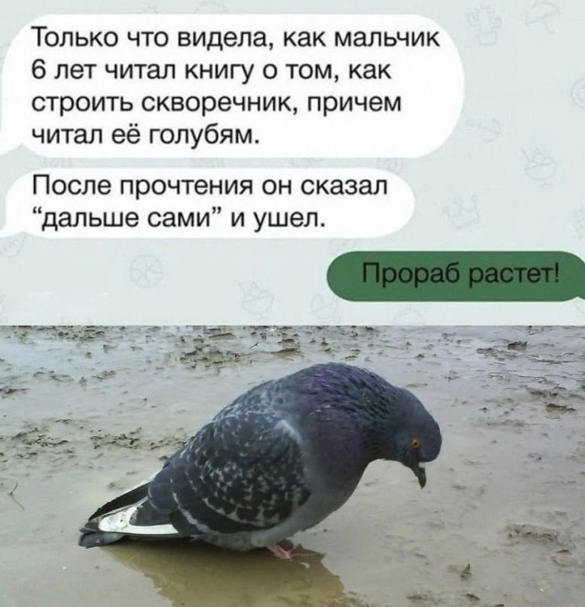 Картинки для деградации 248 (разной степени свежести)