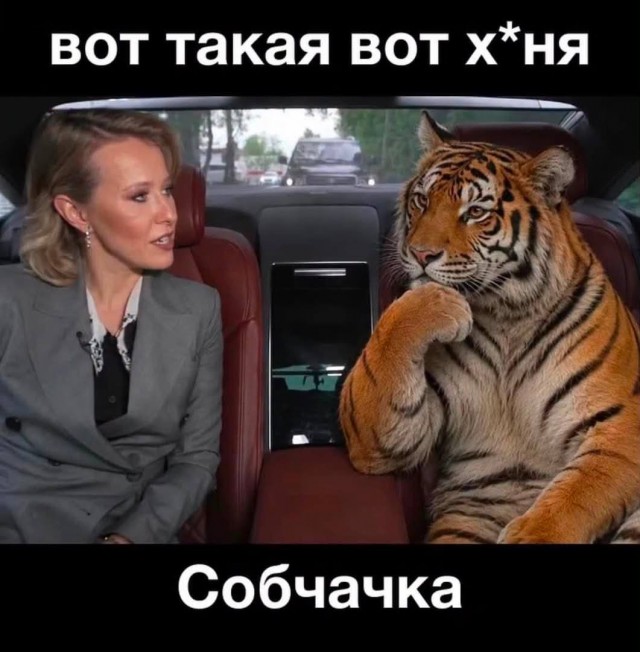 В сети начали переделывать картинку с тигром и псом