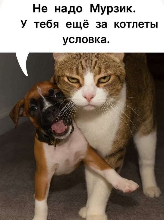 Так себе картинки 03.09.26