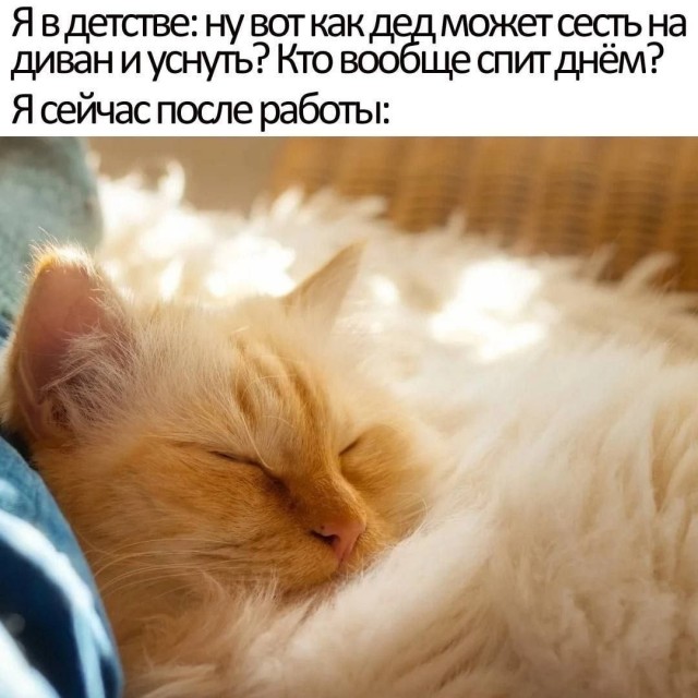 Солянка без копчёностей
