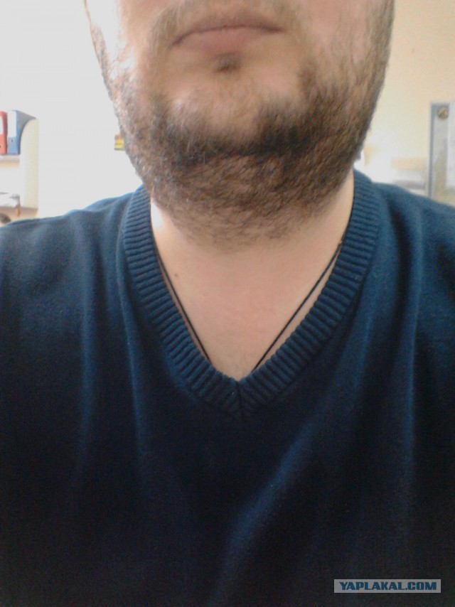 Выращиваем бороду в комнатных условиях