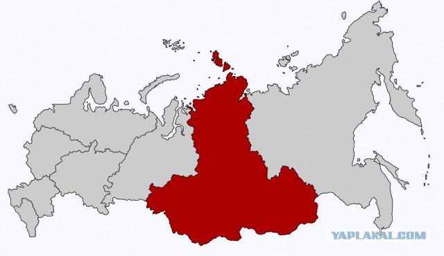 Я дико извиняюсь, но