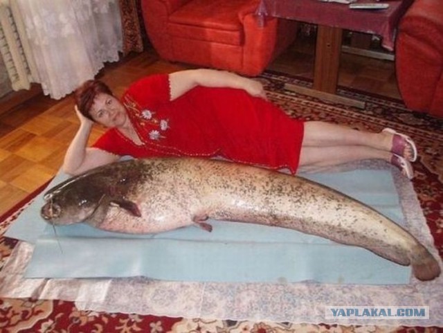 Взгляд девушки на рыбалку