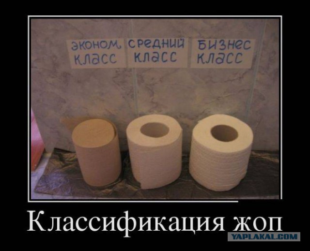 Немного смешных картинок из сети