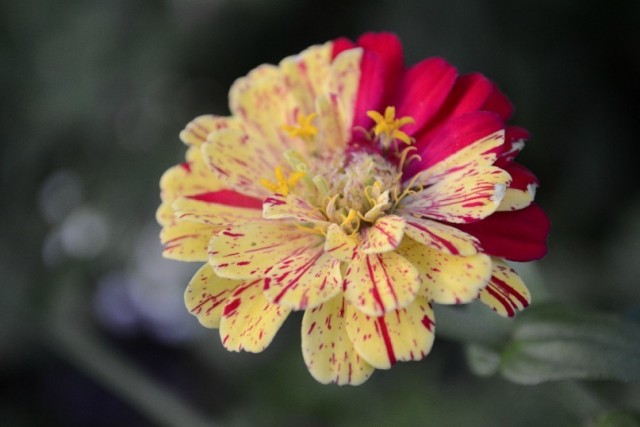 Фотки, фото, фотографии