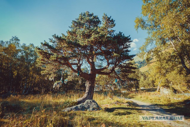 К заповедным озерам и долинам Архыза