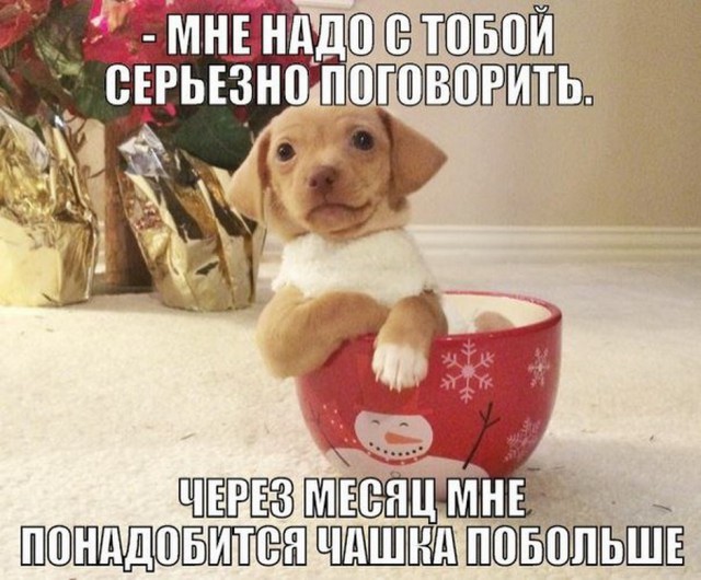 Картинки из сети на понедельник