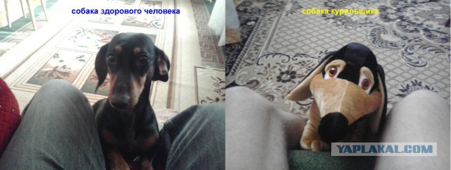 Позитивные картинки