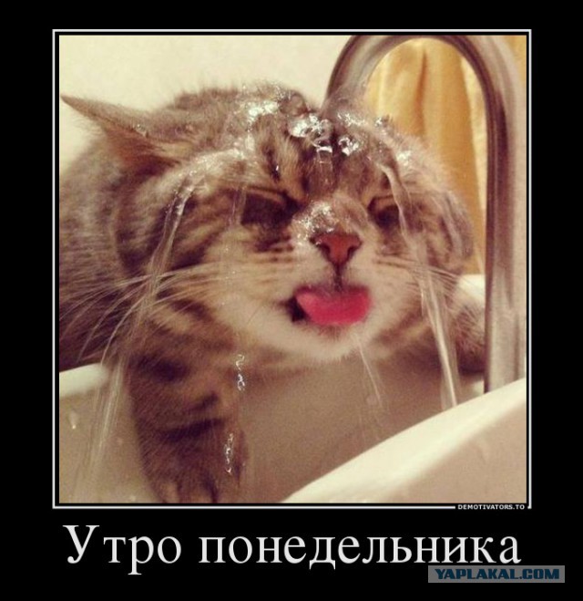 Сово-понедельнег