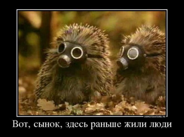 Исторические факты, в которые трудно поверить