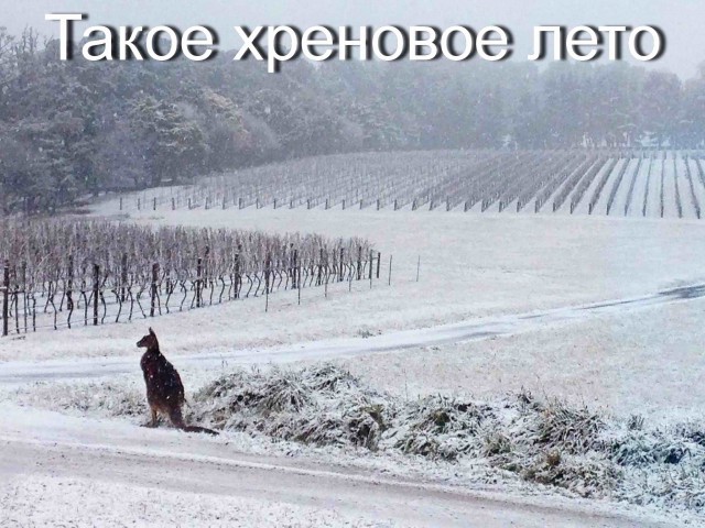 Улыбнемся над собой