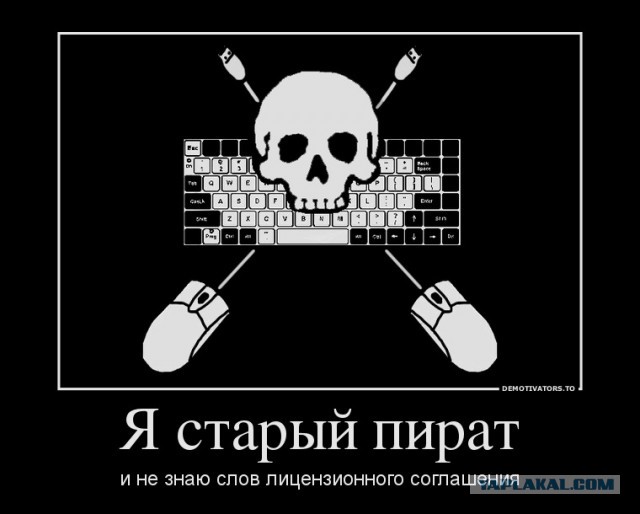 Путина попросят перекрыть в России торренты