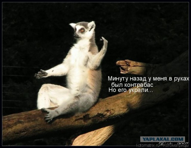 Картинки на пятницу