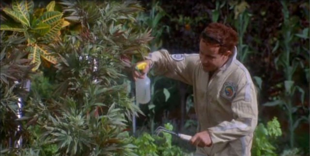 Провалившийся рай - невероятно отрезвляющий эксперимент