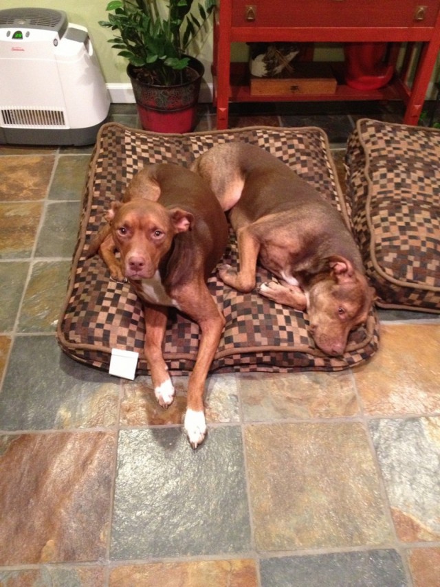 Красивые фото