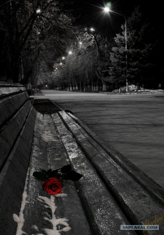 Тихое хобби