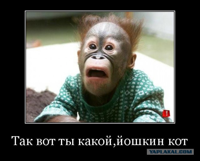 Никогда не доверяй женщине с макияжем