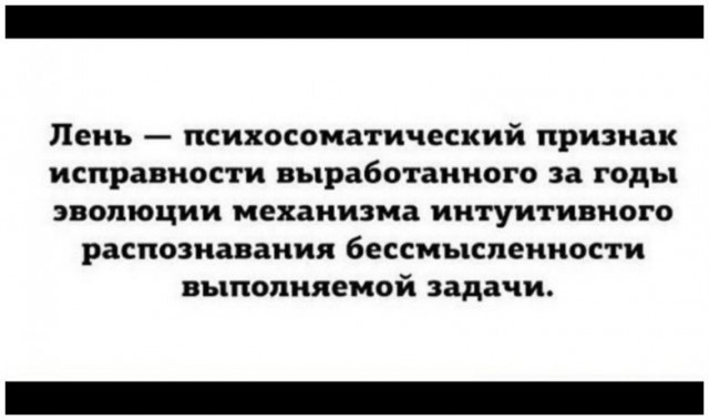 15 самых правдивых историй из жизни настоящих лентяев!