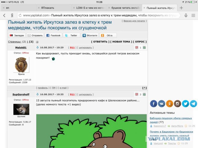 Пьяный житель Иркутска залез в клетку к трем медведям, чтобы покормить их сгущеночкой