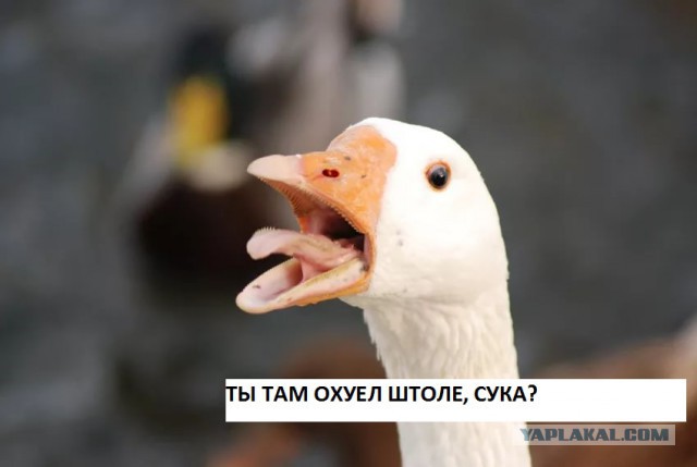 Дискриминация мужчин (размышления)