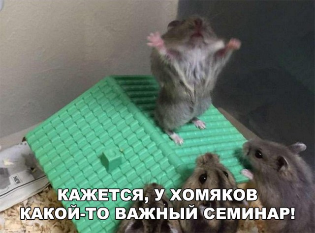 Нестандартный юмор