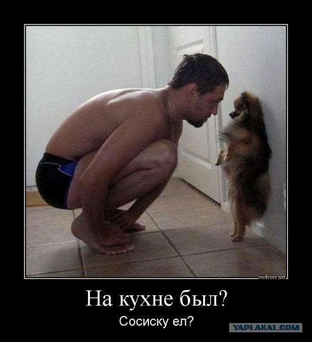 Немного картинок в этот четверг
