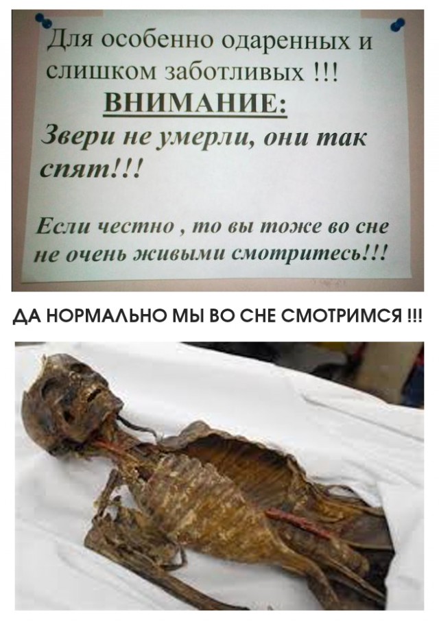 Перлы