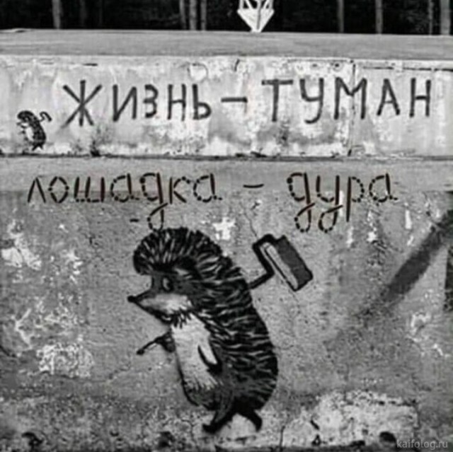 Подборка интересных и веселых картинок  04.12.18