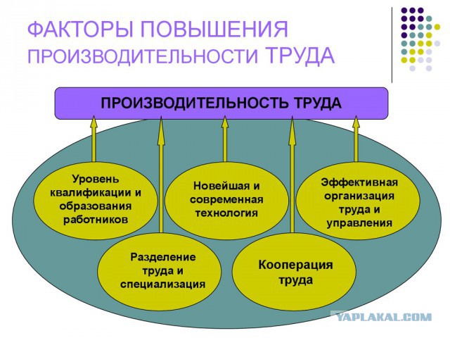 Россияне трудятся значительно больше, чем многие европейцы
