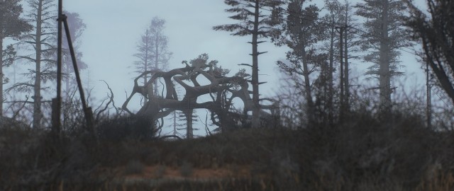 S.T.A.L.K.E.R.: Зов Припяти исполнилось 10 лет