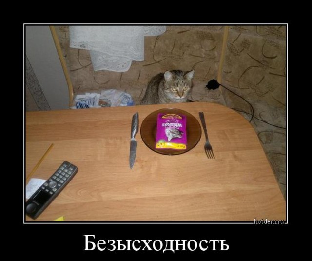 Такого кормить только через соску