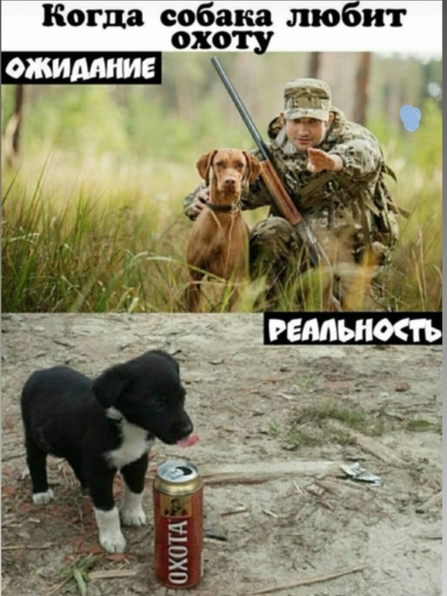 Немного смешных картинок