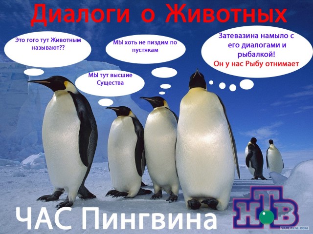Фотожаба: ТВ программа
