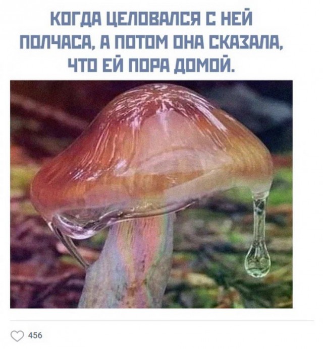 Предлагаю немного слегка пошлых картинок с надписями и без 16+ (05.08)