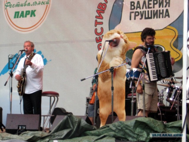 Кот певец