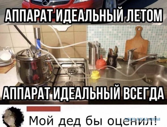 Бредзона 21.08.2020