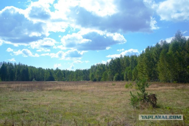 Продаётся участок на границе МО и ВЛО