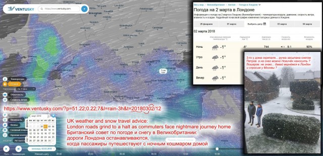Певчая птичка отравила Навального