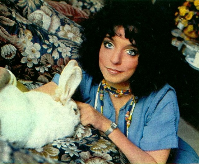 Альтернативная биография легендарной группы SHOCKING BLUE