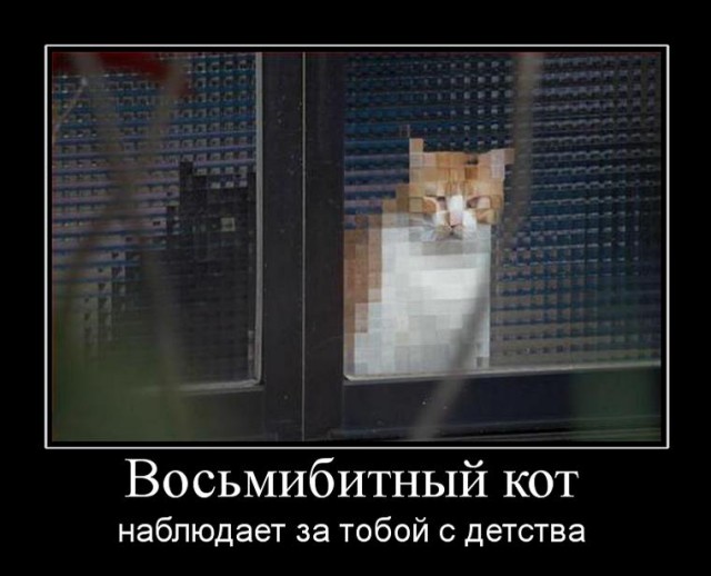 Котенок издает интересные звуки