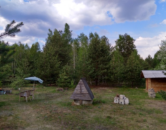 Свидание с молодой охотницей за деньгами и как прекращать такие связи