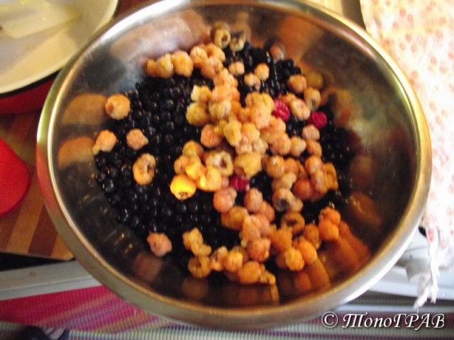 Пятничные посиделки на теплотрассе ©