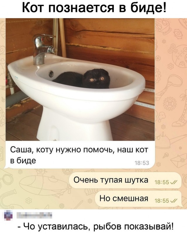 Так себе картинки 25.08.21