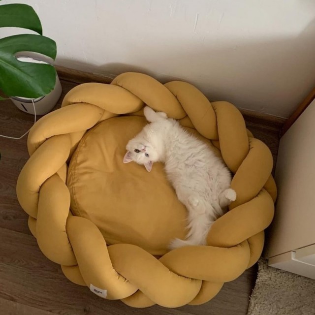 Так себе картинки 08.11.21