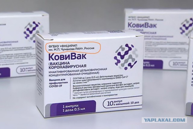 Накрутка голосов за обязательную вакцинацию в опросе на 74.ru