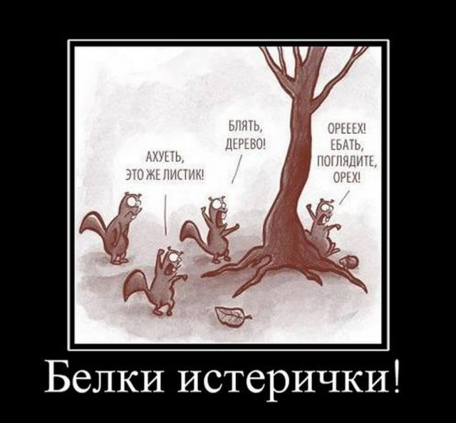 В Челябинской области школьник на перемене поджег самодельную бомбу и бросил в окно
