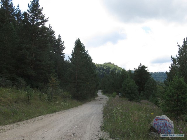 Озеро Моховое, Алтайский край