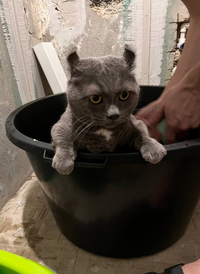 А что, уже вторник?