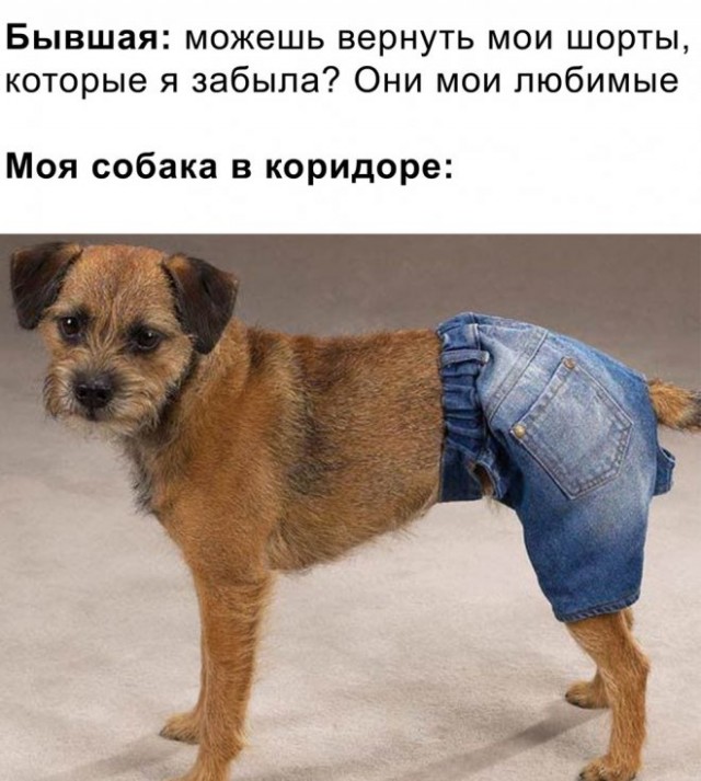 Картинки и мемы для настроения - 15