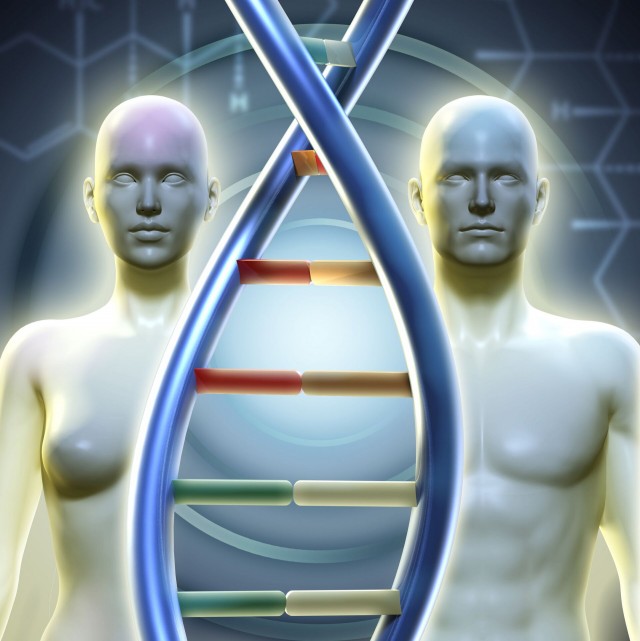 Не только мужской и женский — в ВОЗ готовятся признать третий пол